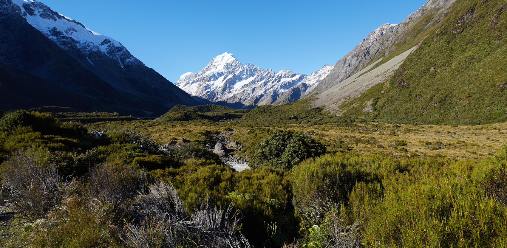 new zealand